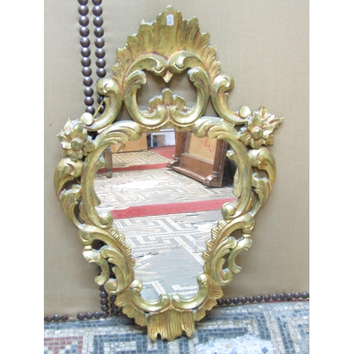 2412 - A rococo style gilded wall mirror with C scroll, floral and other detail, 80cm x 50cm