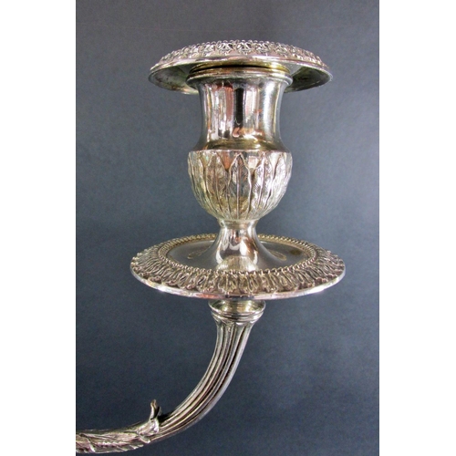 1151 - An impressive pair of Georgian style candelabra with a central column sconce and three entwined oute... 