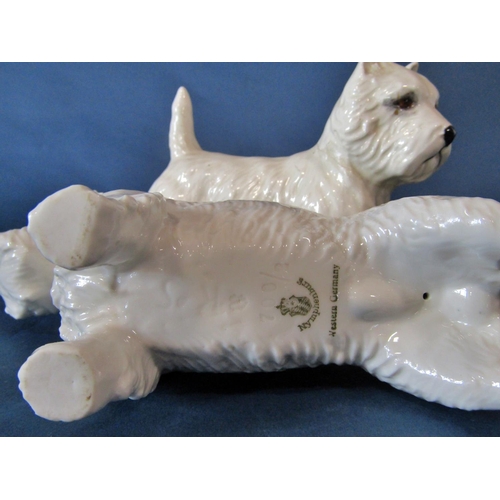 1061 - A group of models of West Highland terriers to include a small Royal Worcester example of a seated W... 