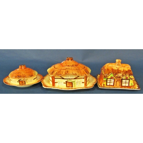 1073 - A group of cottageware porcelain items to include teapots, butter dishes, etc, also together with a ... 