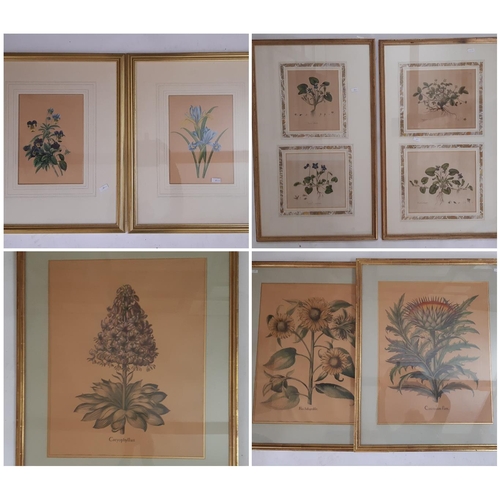 109 - A collection of decorative botanical illustration prints, to include titles examples within marbled ... 