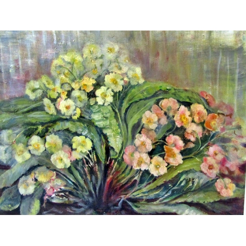 48 - Margaret Tatton, (British post war) still life of Primula, oil on board, signed lower right, 40 x 49... 