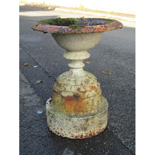 2124 - An old painted and weathered cast iron garden urn, the shallow circular bowl with flared egg rim, fi... 