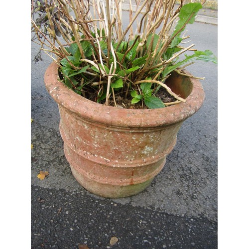 2063 - A weathered terracotta circular ribbed planter with moulded rim 58 cm diameter x 42 cm high together... 