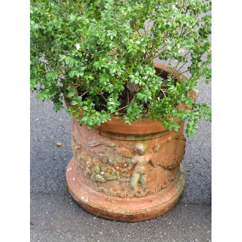 2077 - A cylindrical terracotta planters with raised relief repeating cherub and swag detail (AF) planted, ... 