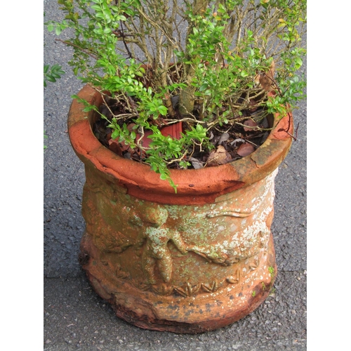 2077 - A cylindrical terracotta planters with raised relief repeating cherub and swag detail (AF) planted, ... 