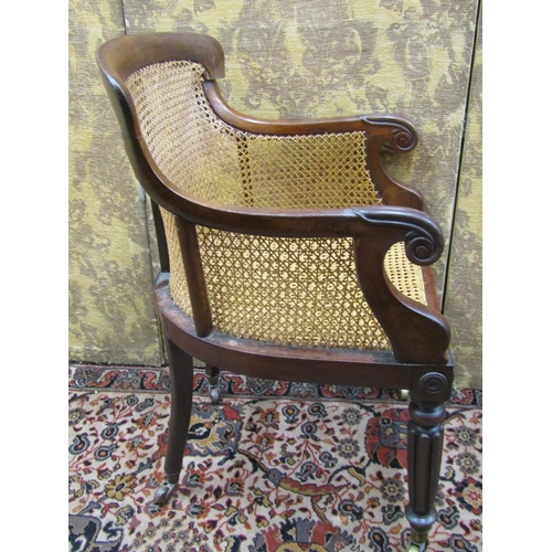 2740 - Regency mahogany bergere library chair on fluted supports