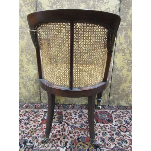 2740 - Regency mahogany bergere library chair on fluted supports