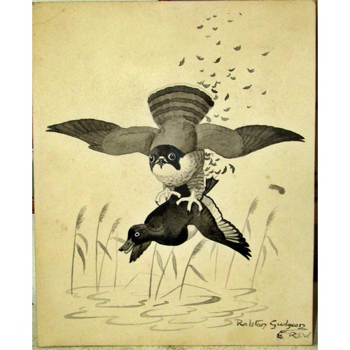 71 - Ralston R. B. Gudgeon (British, 1910-1984) study of a peregrine falcon snatching an unsuspecting duc... 