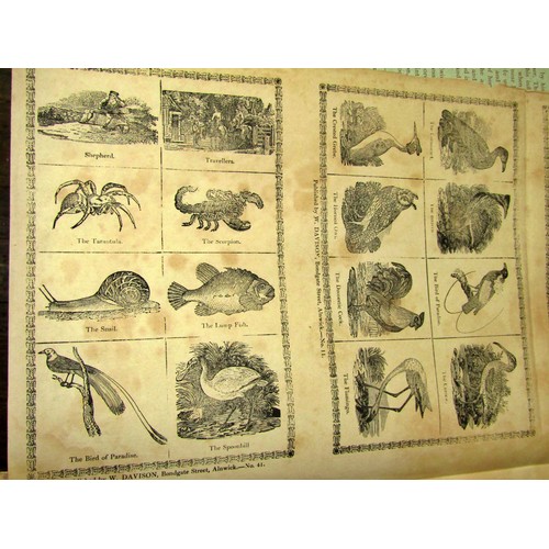 73 - Thomas Bewick (1753 - 1828) a mixed group of unframed prints, various groups, to include animals (in... 