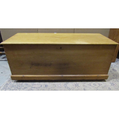 2195 - A large pale pine linen trunk / coffer, with brass carrying handles, 51cm high, 25 x 55cm.