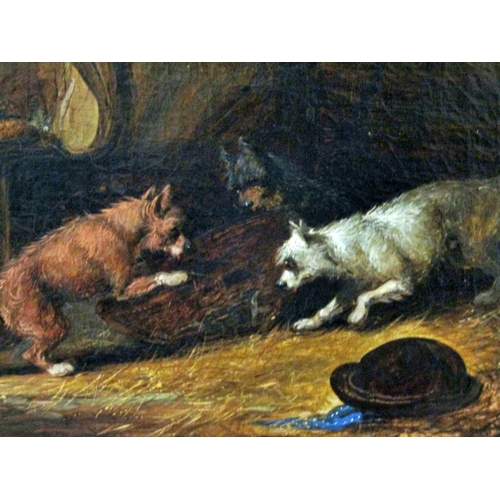 80 - After George Armfield (1808-1893) attributed to Thomas Smyth (1825-1907), terriers ratting in barn i... 