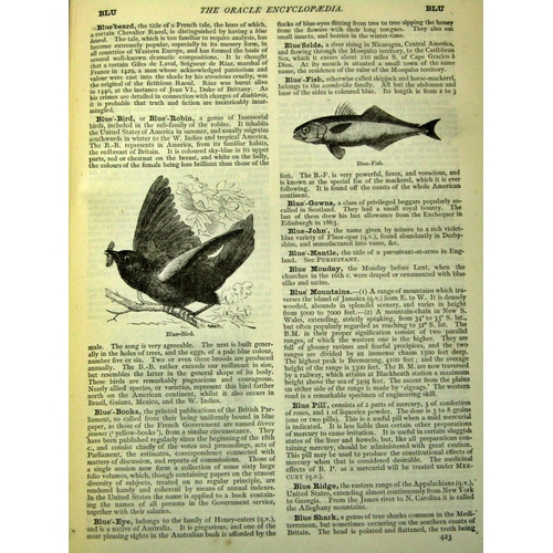 189 - The Oracle Encyclopaedia (1895) 5 volumes and a collection of historical interest reference (7)