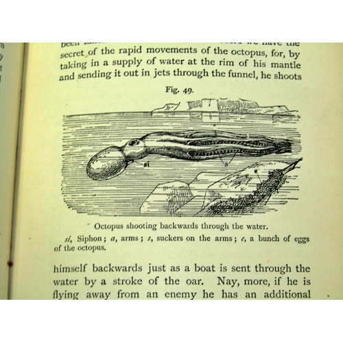 191 - Natural History interest inc A Shepherds Life, W H Hudson (1910) books on botany and Charnwood Fores... 