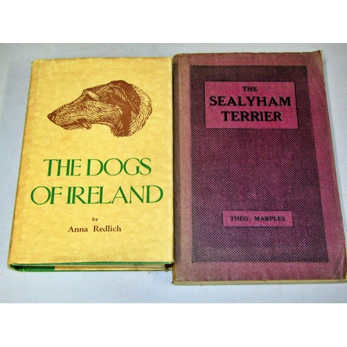 232 - Collection of books relating to Irish Setters and others, including 2 pictures (one framed)