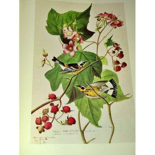 273 - John James Audubon Illustrated Birds of America