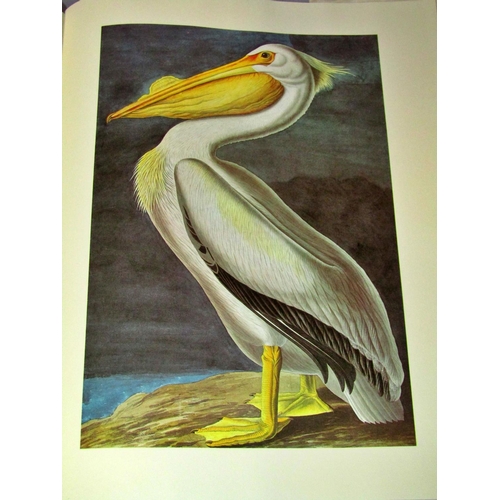 273 - John James Audubon Illustrated Birds of America