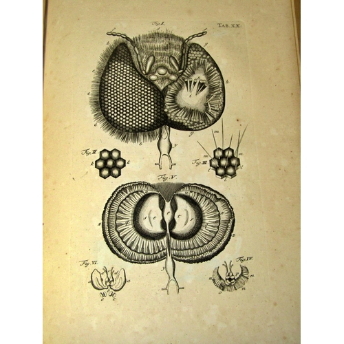 294 - Book of Nature by John Swammerdam, 1758. A scientific thesis on the History of Insects including a n... 