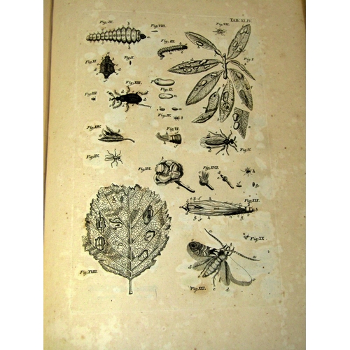 294 - Book of Nature by John Swammerdam, 1758. A scientific thesis on the History of Insects including a n... 