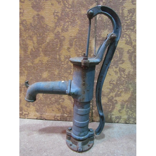 2142 - Vintage cast iron water pump together with two galvanised  watering cans (3)