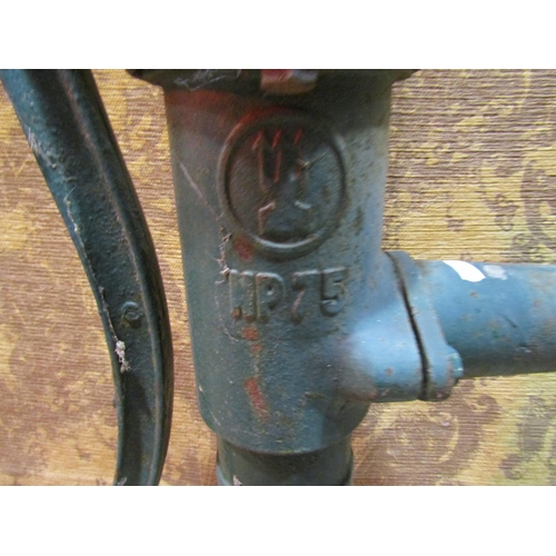 2142 - Vintage cast iron water pump together with two galvanised  watering cans (3)