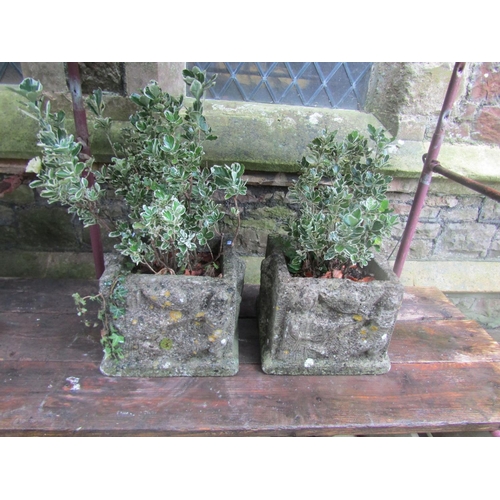 2031 - Small pair of weathered cast composition stone square planters with deep relief detail, (planted) 40... 