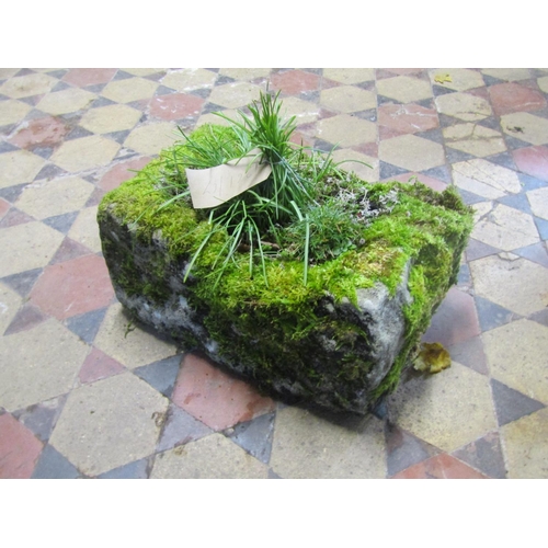 2110 - Small rough hewn rectangular natural stone trough, 47cm long x 30cm wide x 22cm high