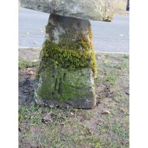 2118 - A traditional weathered squat natural stone staddlestone and domed cap, 60cm high approx