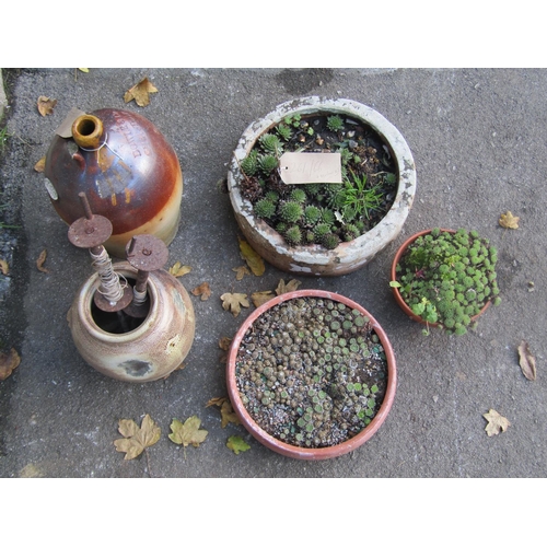 2119 - Salt glazed stoneware flagon stamped Dowle & co Chepstow (af) together with a weathered squat circul... 