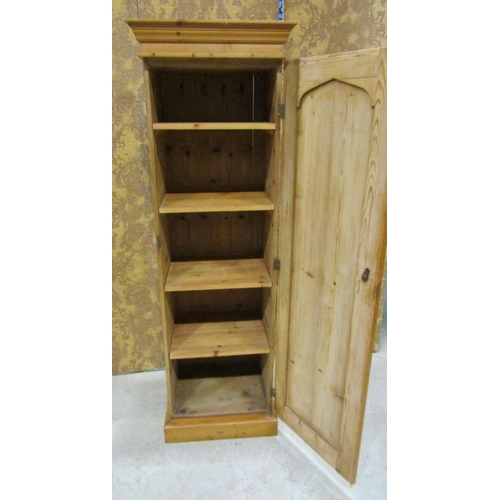 2202 - 19th century stripped and waxed pine sentry box cupboard with arched rectangular panelled door enclo... 