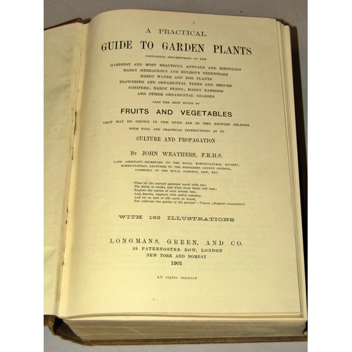 205 - Natural History interest - Popular Greenhouse Botany (1857) A Practical Guide to Garden Plants (1901... 