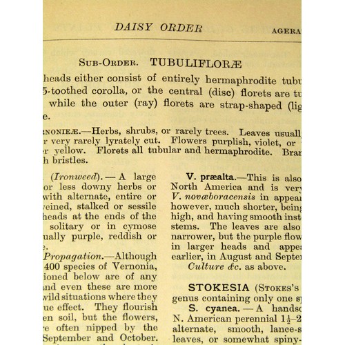 205 - Natural History interest - Popular Greenhouse Botany (1857) A Practical Guide to Garden Plants (1901... 