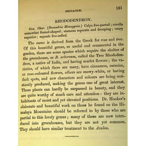 205 - Natural History interest - Popular Greenhouse Botany (1857) A Practical Guide to Garden Plants (1901... 