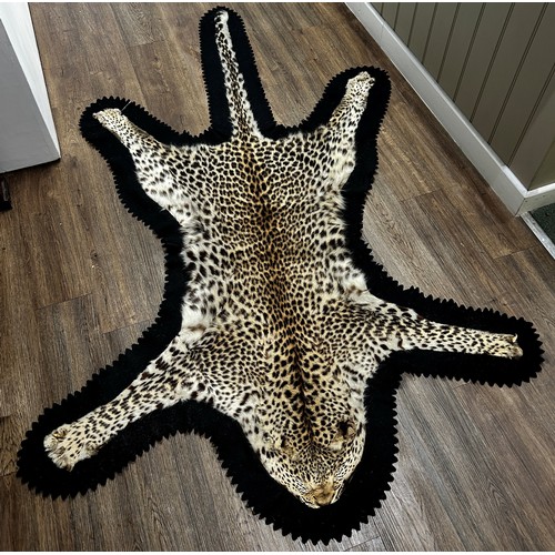 2727 - A Rowland Ward Leopard Skin on a black felt lining 178cm x 120cm approximately.