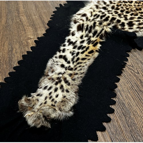 2727 - A Rowland Ward Leopard Skin on a black felt lining 178cm x 120cm approximately.