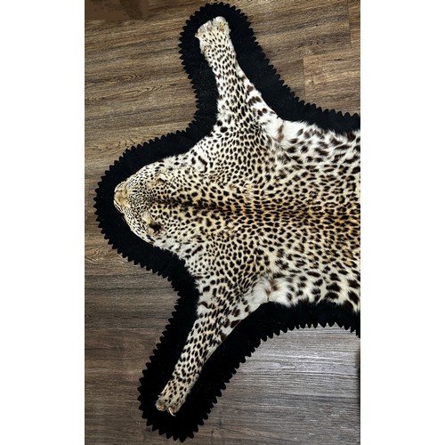 2727 - A Rowland Ward Leopard Skin on a black felt lining 178cm x 120cm approximately.