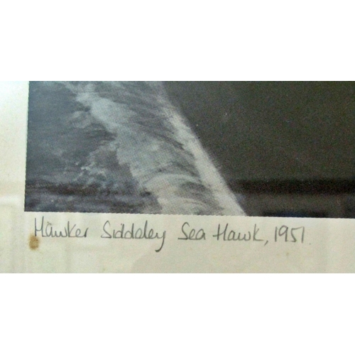 48 - Roy Nockolds (British, 1911-1979) - 'Hawker Siddeley Sea Hawk (1951)', hand tinted offset print, tit... 