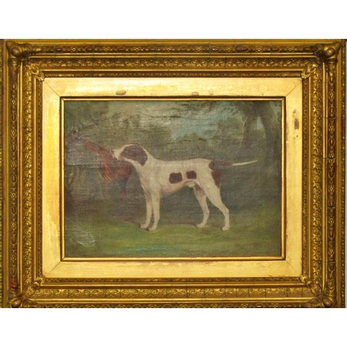 74 - British School, 19th Century - Pointer holding a pheasant in the woods, oil on canvas board, unsigne... 