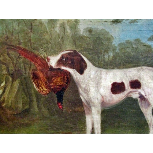 74 - British School, 19th Century - Pointer holding a pheasant in the woods, oil on canvas board, unsigne... 