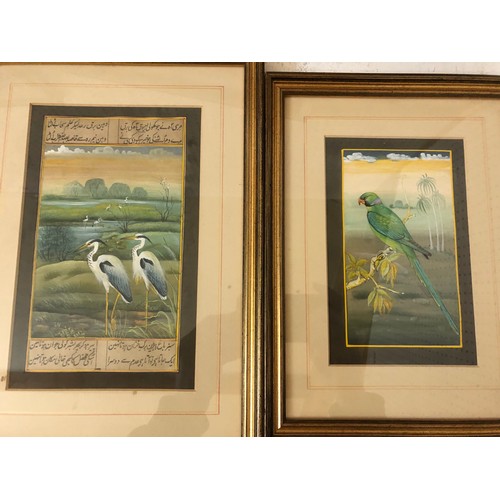 152 - Five framed works with a mirror (as found), to include: Two Indian gouache paintings of a parrot and... 