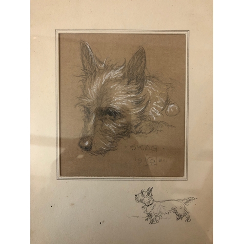 126 - Cecil Aldin (1870-1935) - Drawing and a print: 'Skag' pencil and chalk study of a terrier with penci... 