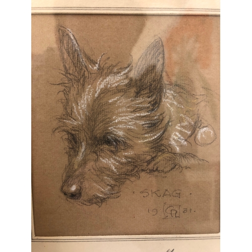 126 - Cecil Aldin (1870-1935) - Drawing and a print: 'Skag' pencil and chalk study of a terrier with penci... 