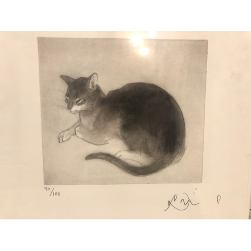 161 - Julian Williams (Contemporary) - 'Perdita Cat II', limited edition etching signed and numbered 90/10... 