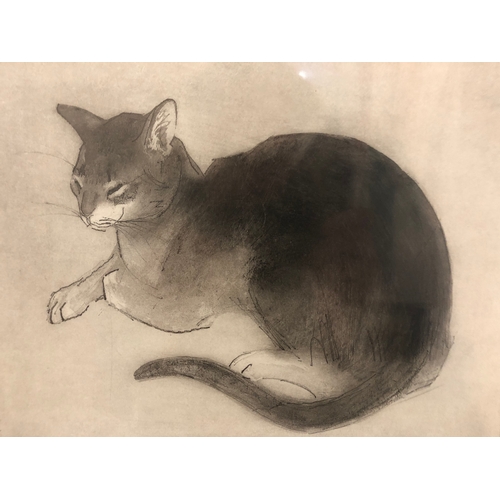 161 - Julian Williams (Contemporary) - 'Perdita Cat II', limited edition etching signed and numbered 90/10... 