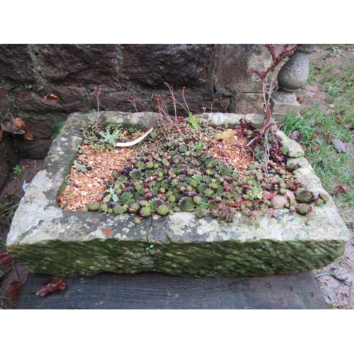 2063 - A shallow but thick walled rectangular natural stone trough, with single rounded corner containing s... 