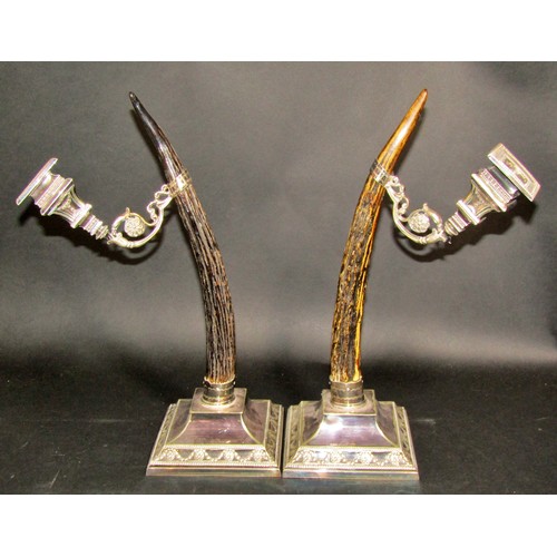 1165 - A pair of unusual Victorian antlers mounted on square plinths,  with adjustable silver plated candle... 