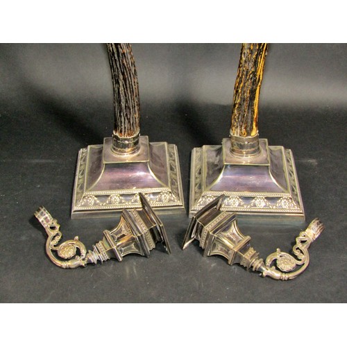 1165 - A pair of unusual Victorian antlers mounted on square plinths,  with adjustable silver plated candle... 