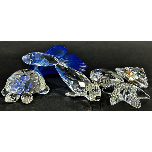 171 - A Swarovski crystal collection to include sea themed pieces comprising a turtle, shells, starfish, k... 