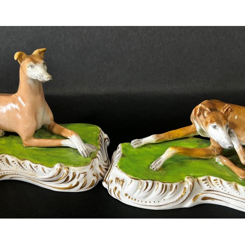 99 - Pair of 19th century continental porcelain hounds on shaped bases with gilded borders