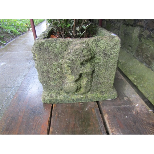 1014 - Small pair of weathered cast composition stone square planters with deep relief detail, (planted) 40... 